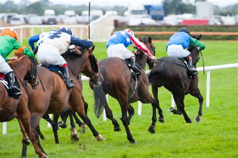 odds checker horse racing
